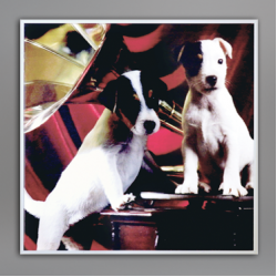 Infrapower Standard Line VCIR-400W 