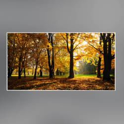 Infrapower Standard Line VCIR-1000W