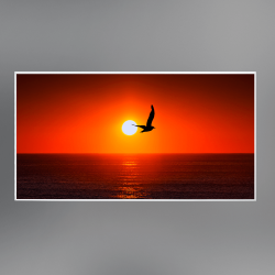 Infrapower Standard Line VCIR-800W